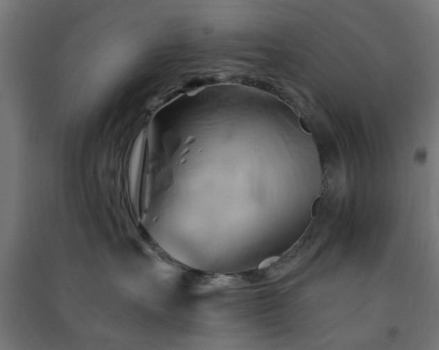 X0000091590527200708201232
