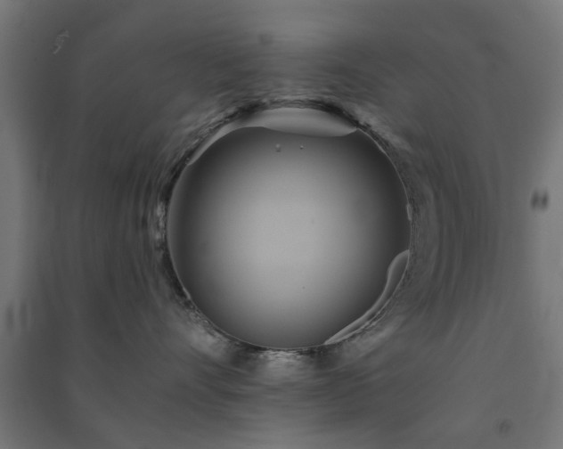 X0000091590528200708201232