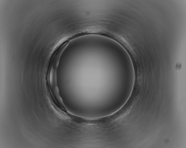 X0000091590530200708201232