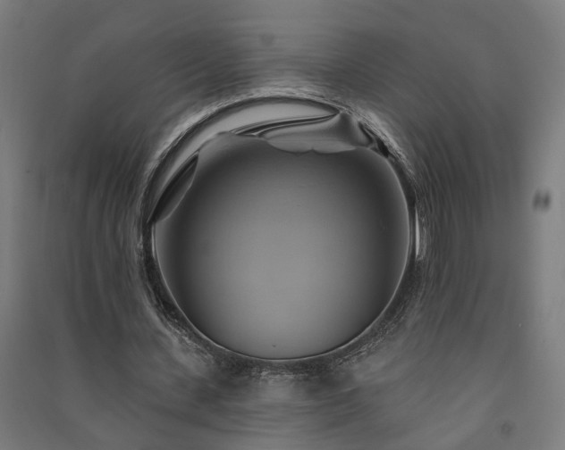 X0000091590531200708201232