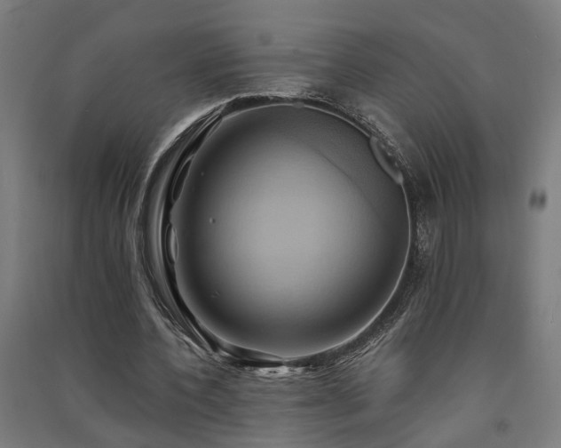 X0000091590532200708201232