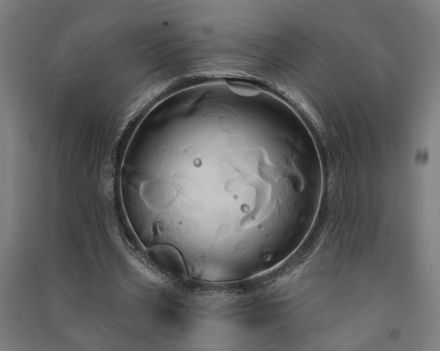 X0000091590533200708201232