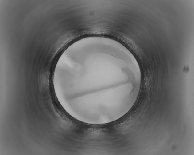 X0000091590534200708201232