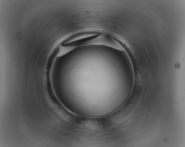 X0000091590535200708201232