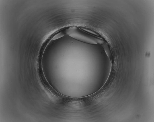 X0000091590536200708201232