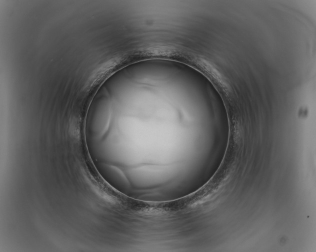 X0000091590537200708201232