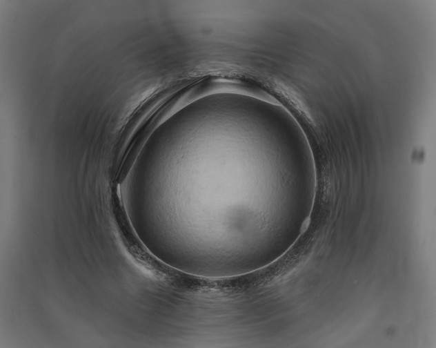 X0000091590538200708201232