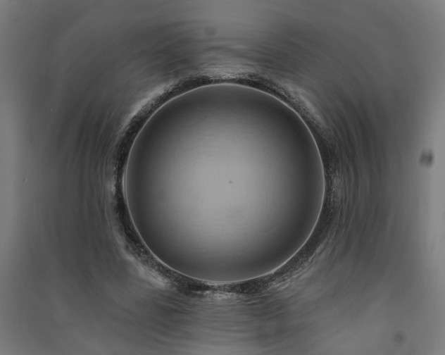 X0000091590539200708201232