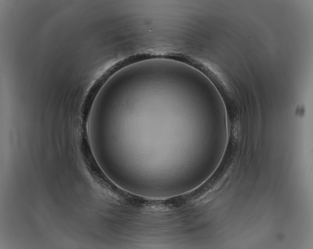 X0000091590540200708201232