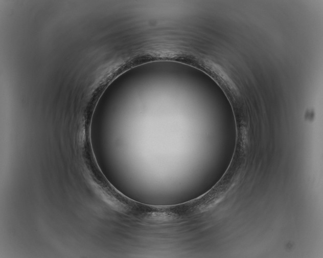 X0000091590541200708201232