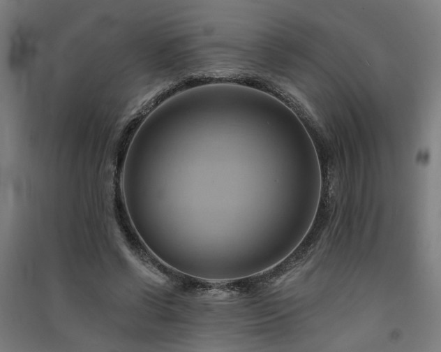 X0000091590542200708201232