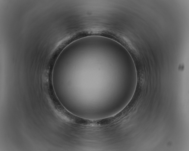 X0000091590543200708201232