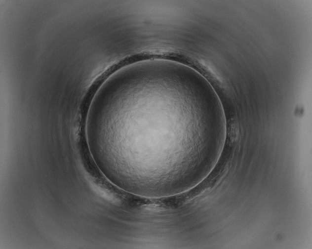 X0000091590544200708201232