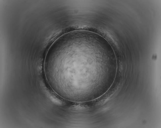 X0000091590545200708201232