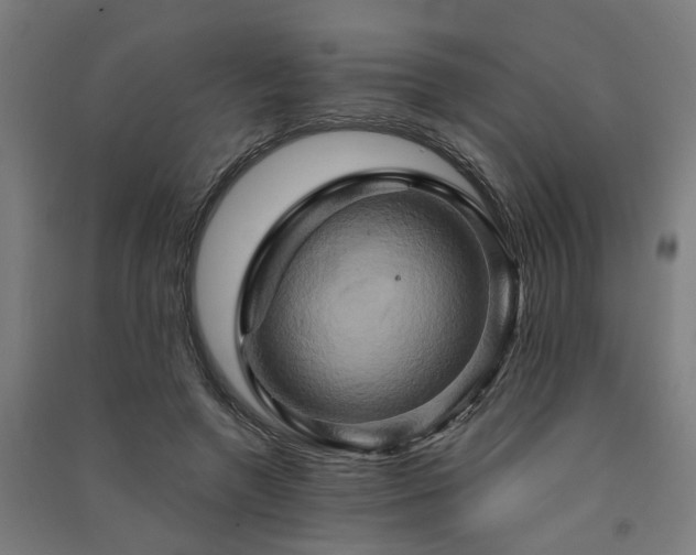 X0000091590546200708201232