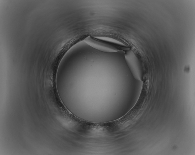 X0000091590547200708201232