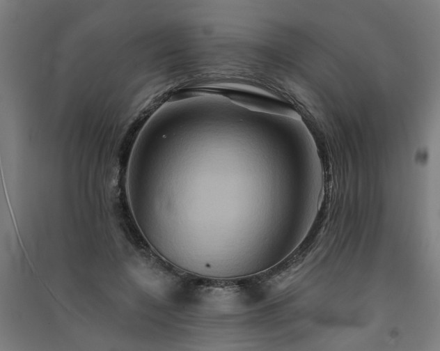 X0000091590548200708201232