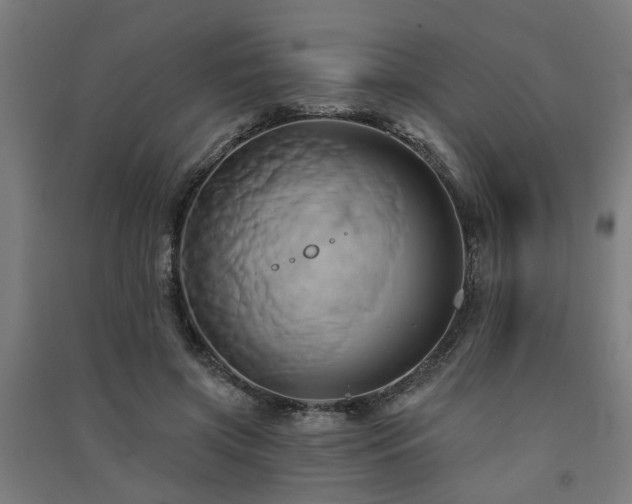 X0000091590549200708201232