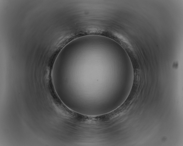 X0000091590550200708201232