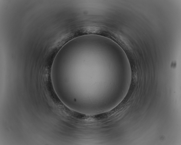 X0000091590551200708201232