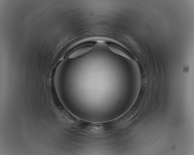 X0000091590552200708201232