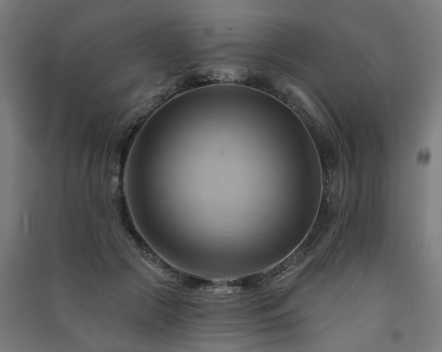 X0000091590553200708201232