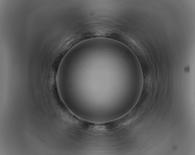 X0000091590554200708201232