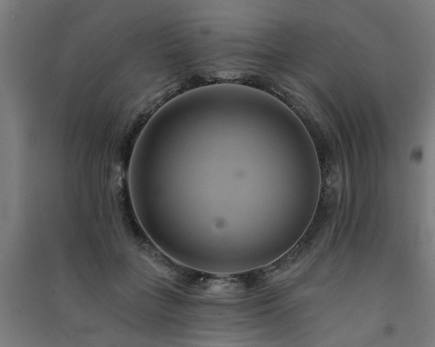 X0000091590555200708201232