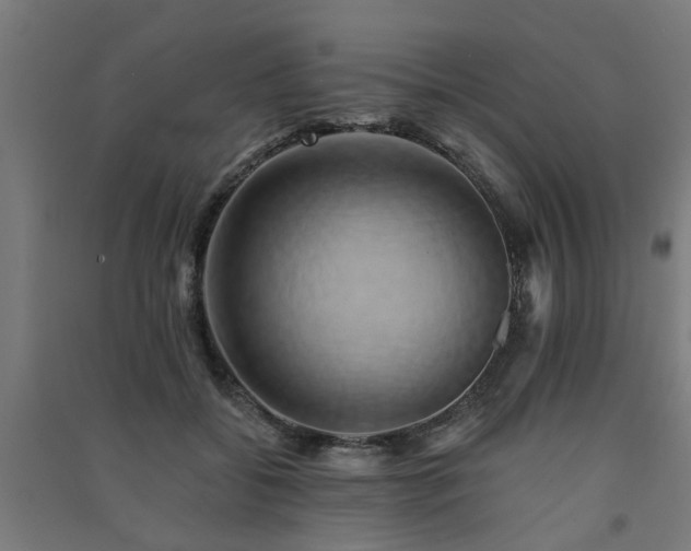 X0000091590556200708201232