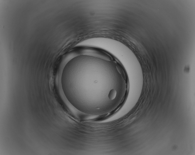 X0000091590558200708201232
