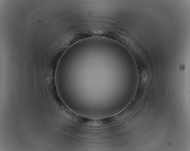 X0000091590559200708201232