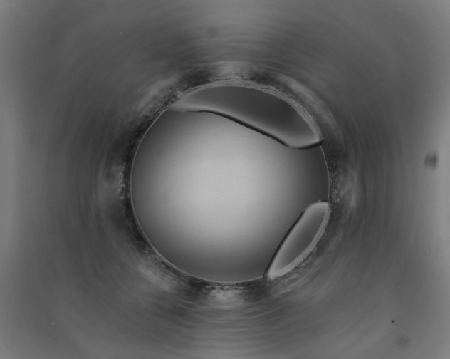 X0000091590560200708201232