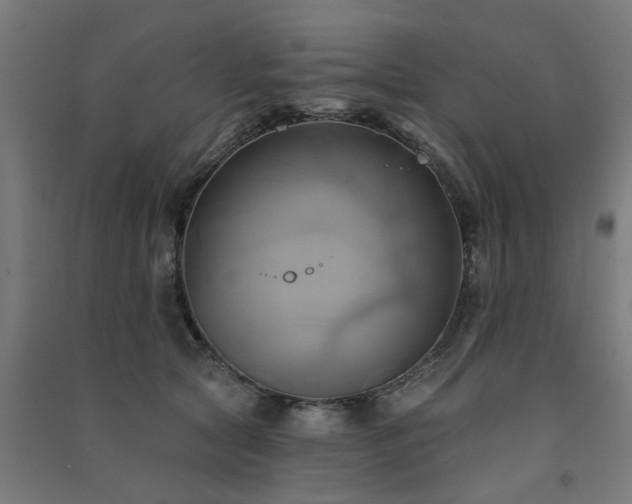 X0000091590561200708201232