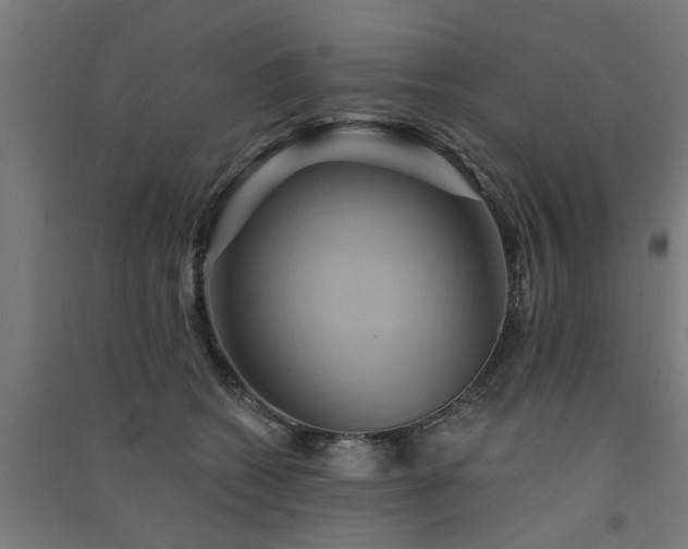 X0000091590562200708201232