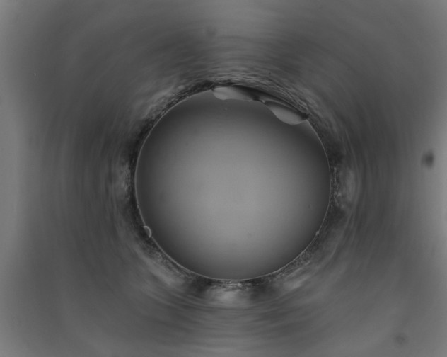 X0000091590563200708201232