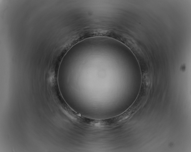 X0000091590564200708201232