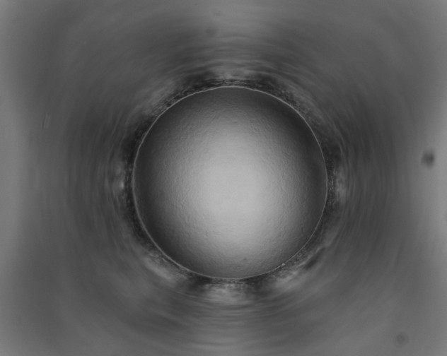 X0000091590567200708201232