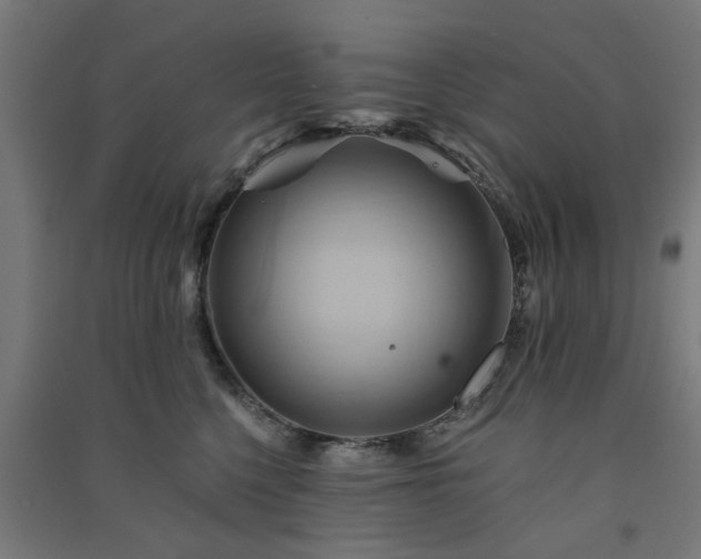 X0000091590568200708201232