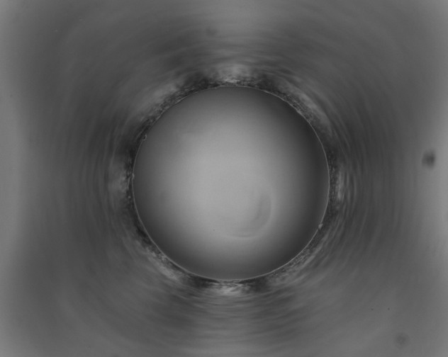 X0000091590569200708201232