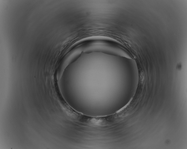 X0000091590570200708201232