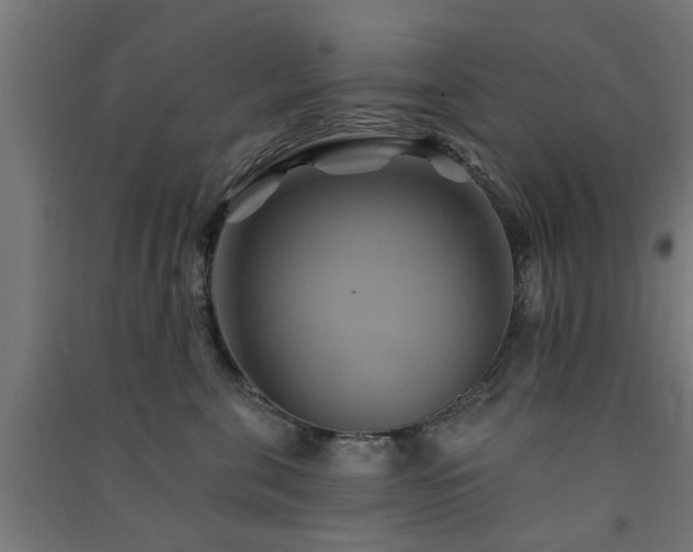 X0000091590571200708201232