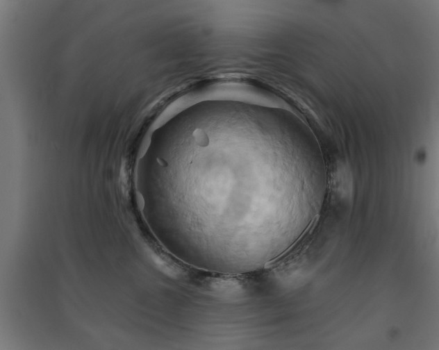 X0000091590572200708201232