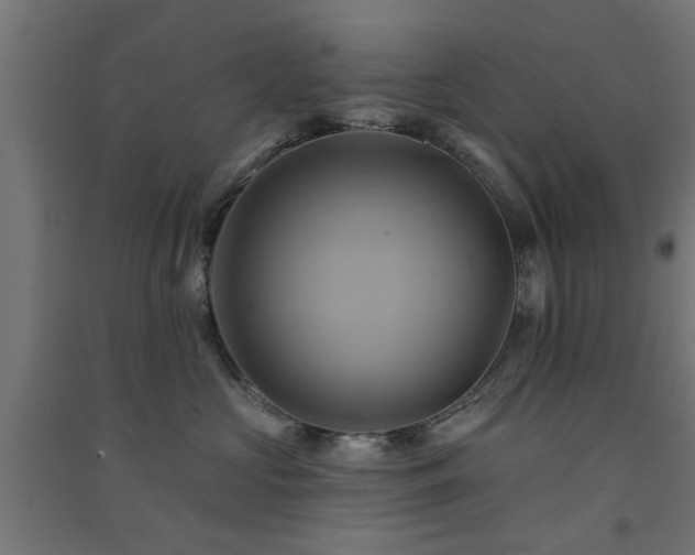 X0000091590573200708201232