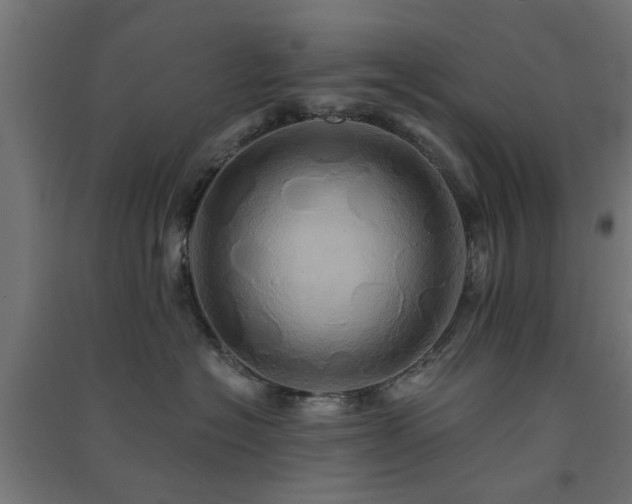 X0000091590574200708201232
