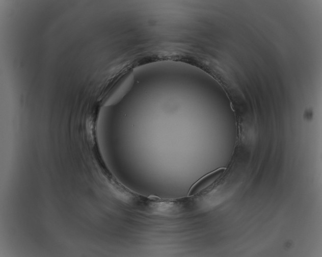 X0000091590575200708201232