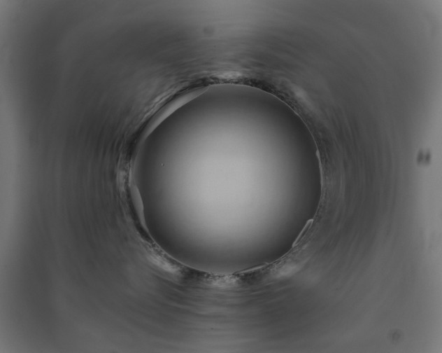 X0000091590576200708201232