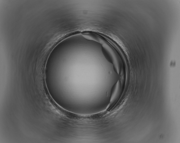 X0000091590577200708201232