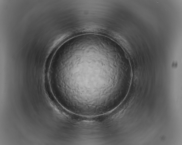 X0000091590578200708201232