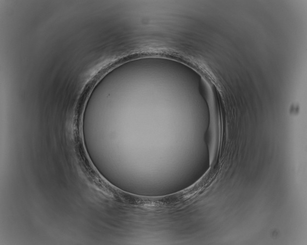 X0000091590579200708201232