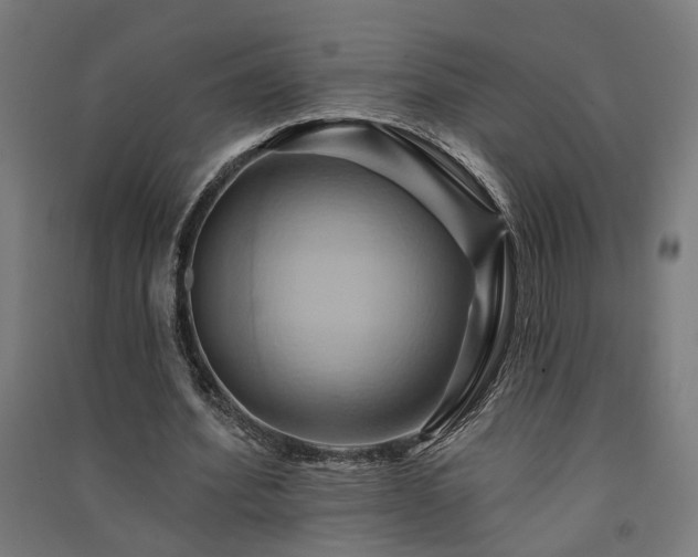 X0000091590580200708201232